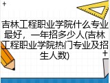 吉林工程职业学院什么专业最好，一年招多少人(吉林工程职业学院热门专业及招生人数)
