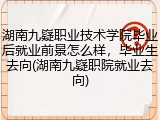 湖南九嶷职业技术学院毕业后就业前景怎么样，毕业生去向(湖南九嶷职院就业去向)