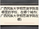 广西民族大学相思湖学院是哪里的学校，在哪个城市(广西民族大学相思湖学院在哪)