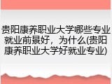 贵阳康养职业大学哪些专业就业前景好，为什么(贵阳康养职业大学好就业专业)
