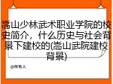 嵩山少林武术职业学院的校史简介，什么历史与社会背景下建校的(嵩山武院建校背景)