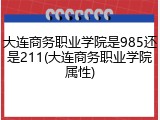 大连商务职业学院是985还是211(大连商务职业学院属性)
