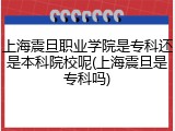 上海震旦职业学院是专科还是本科院校呢(上海震旦是专科吗)