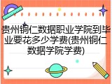 贵州铜仁数据职业学院到毕业要花多少学费(贵州铜仁数据学院学费)