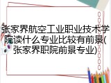 张家界航空工业职业技术学院读什么专业比较有前景(张家界职院前景专业)