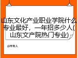 山东文化产业职业学院什么专业最好，一年招多少人(山东文产院热门专业)