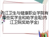 内江卫生与健康职业学院有哪些奖学金和助学金呢(内江卫院奖助学金)