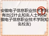 安徽电子信息职业技术学院有出过什么知名人士吗(安徽电子信息职业技术学院知名校友)