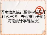 河南信息统计职业学院属于什么档次，专业排行分析(河南统计学院档次)