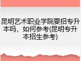 昆明艺术职业学院要招专升本吗，如何参考(昆明专升本招生参考)