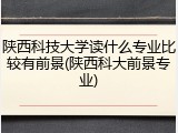 陕西科技大学读什么专业比较有前景(陕西科大前景专业)