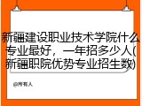 新疆建设职业技术学院什么专业最好，一年招多少人(新疆职院优势专业招生数)
