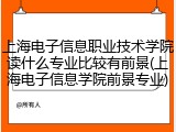 上海电子信息职业技术学院读什么专业比较有前景(上海电子信息学院前景专业)