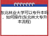 东北林业大学可以专升本吗，如何操作(东北林大专升本流程)