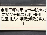 贵州工程应用技术学院高考需多少分能录取呢(贵州工程应用技术学院录取分数线)