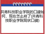 共青科技职业学院的口碑如何，现在怎么样了(共青科技职业学院现状口碑)