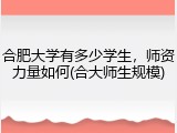 合肥大学有多少学生，师资力量如何(合大师生规模)