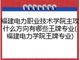 福建电力职业技术学院主攻什么方向有哪些王牌专业(福建电力学院王牌专业)