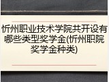 忻州职业技术学院共开设有哪些类型奖学金(忻州职院奖学金种类)