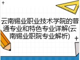 云南锡业职业技术学院的普通专业和特色专业详解(云南锡业职院专业解析)