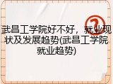武昌工学院好不好，就业现状及发展趋势(武昌工学院就业趋势)
