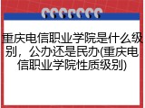 重庆电信职业学院是什么级别，公办还是民办(重庆电信职业学院性质级别)