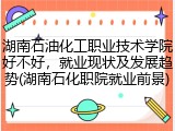 湖南石油化工职业技术学院好不好，就业现状及发展趋势(湖南石化职院就业前景)
