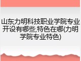 山东力明科技职业学院专业开设有哪些,特色在哪(力明学院专业特色)
