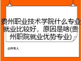 贵州职业技术学院什么专业就业比较好，原因是啥(贵州职院就业优势专业)