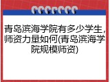 青岛滨海学院有多少学生，师资力量如何(青岛滨海学院规模师资)