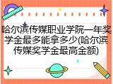 哈尔滨传媒职业学院一年奖学金最多能拿多少(哈尔滨传媒奖学金最高金额)