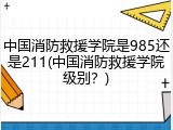 中国消防救援学院是985还是211(中国消防救援学院级别？)