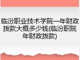 临汾职业技术学院一年财政拨款大概多少钱(临汾职院年财政拨款)