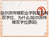 哈尔滨传媒职业学院是否有双学位，为什么(哈尔滨传媒双学位原因)