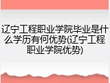 辽宁工程职业学院毕业是什么学历有何优势(辽宁工程职业学院优势)
