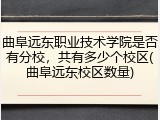 曲阜远东职业技术学院是否有分校，共有多少个校区(曲阜远东校区数量)
