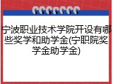 宁波职业技术学院开设有哪些奖学和助学金(宁职院奖学金助学金)