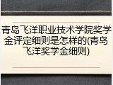 青岛飞洋职业技术学院奖学金评定细则是怎样的(青岛飞洋奖学金细则)