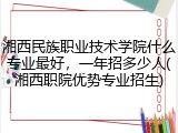 湘西民族职业技术学院什么专业最好，一年招多少人(湘西职院优势专业招生)