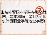山东外贸职业学院在哪个城市，是本科吗，第几批(山东外贸职业学院地址学历)