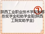 陕西工业职业技术学院有哪些奖学金和助学金呢(陕西工院奖助学金)