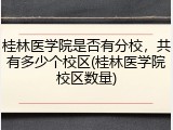 桂林医学院是否有分校，共有多少个校区(桂林医学院校区数量)