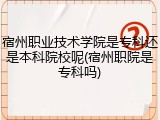 宿州职业技术学院是专科还是本科院校呢(宿州职院是专科吗)