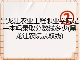 黑龙江农业工程职业学院是一本吗录取分数线多少(黑龙江农院录取线)