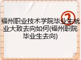 福州职业技术学院毕业生就业大致去向如何(福州职院毕业生去向)