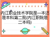 内江职业技术学院是一本还是本科第二批(内江职院是二本吗)