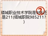塔城职业技术学院是985还是211(塔城职院985211？)