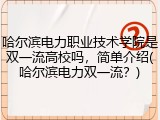 哈尔滨电力职业技术学院是双一流高校吗，简单介绍(哈尔滨电力双一流？)