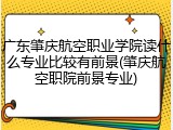 广东肇庆航空职业学院读什么专业比较有前景(肇庆航空职院前景专业)