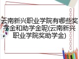 云南新兴职业学院有哪些奖学金和助学金呢(云南新兴职业学院奖助学金)